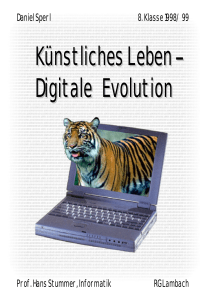 Daniel Sperl 8. Klasse 1998/99 Prof. Hans Stummer, Informatik RG