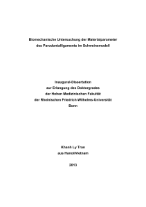 Biomechanische Untersuchung der Materialparameter