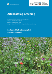 Artenkatalog Greening