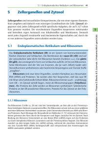 5 Zellorganellen und Zytosol