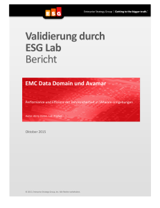EMC Data Domain und Avamar Performance und Effizienz der