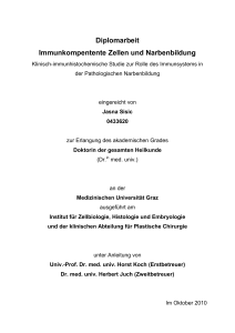 Diplomarbeit Immunkompentente Zellen und Narbenbildung