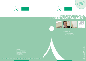 internationales projektmanagement