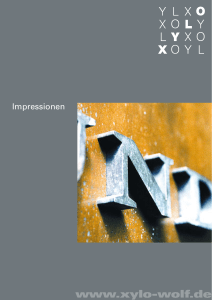 Impressionen - XYLO