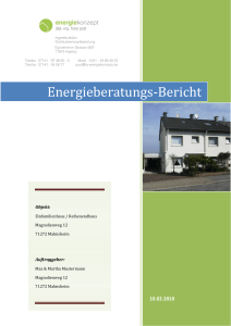 Energieberatungs