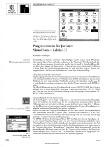 Programmieren für Juristen: Visual Basic - Lektion II