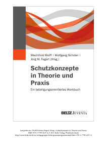 Schutzkonzepte in Theorie und Praxis