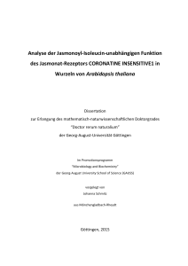 Dissertation Johanna Schmitz