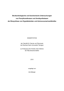 Strukturbiologische und biochemische Untersuchungen von