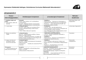 Schulinternes Curriculum Sek1-03_2013