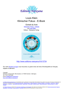 Louis Klein Klinischer Fokus - E-Book