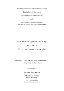 Fachwerkoptimierung mittels Evolutionsstrategie