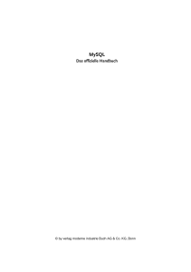 Das offizielle Handbuch
