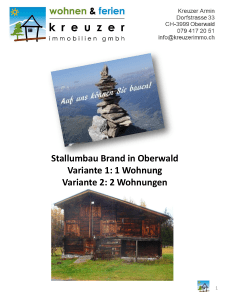 Stallumbau Brand in Oberwald Variante 1: 1 Wohnung Variante 2: 2