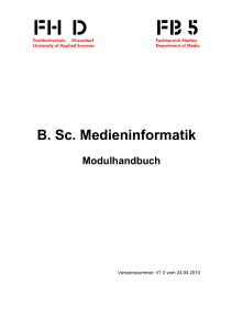 MI BSC Modulhandbuch gesamt Stand 23_04_2010