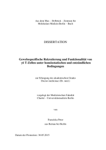 dissertation - diss.fu