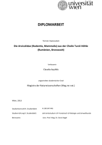 diplomarbeit - E-Theses