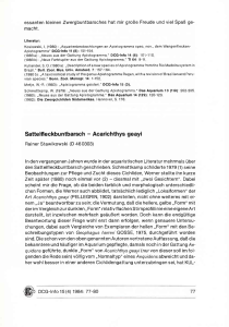 Sattelf,eckbuntbarsch