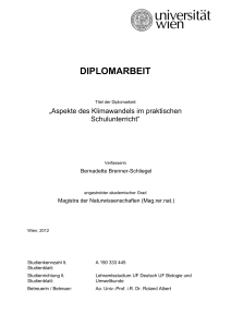 diplomarbeit