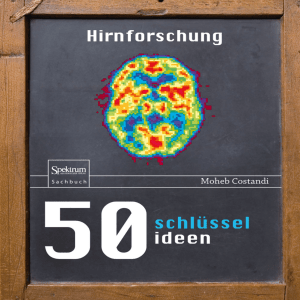 Das menschliche Gehirn