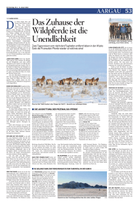 Aargauer Zeitung (Ost), vom: Sonntag, 6. Januar 2013