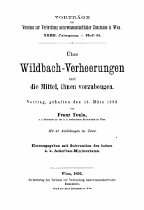 Wildbach-Verheerungen