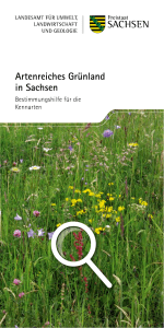 Artenreiches Grünland in Sachsen - Publikationen