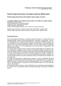 Particle Image Velocimetry mit adaptiv-optischer