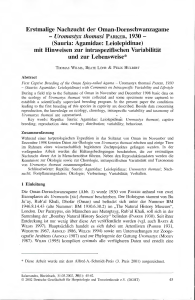 Uromastyx thomasi PARKER, 1930