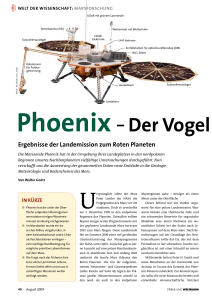 Phoenix – Der Vogel aus der Asch