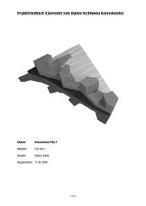 Projekthandbuch 8.Semester zum Diplom