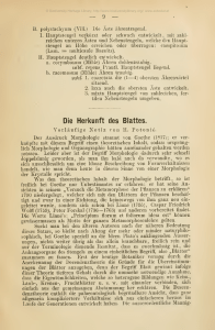 Deutsche botanische Monatsschrift