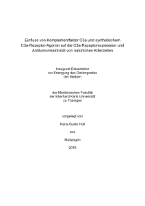 Holl Dissertation_HS(verbessert)zum abgeben