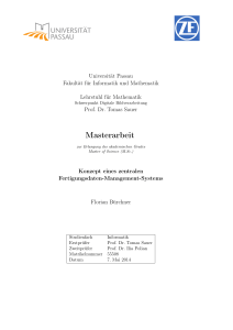 Masterarbeit - fim.uni-passau.de