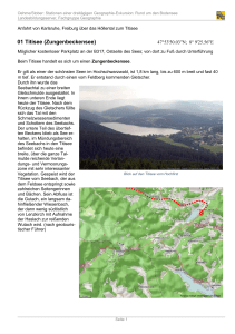 01 Titisee (Zungenbeckensee) - Landesbildungsserver Baden