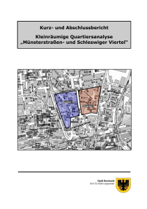 Kleinräumige Quartiersanalyse "Münsterstraßen