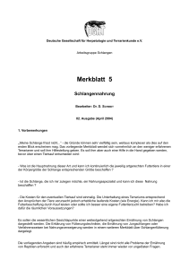 Merkblatt 5 - AG Schlangen