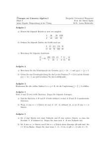 ¨Ubungen zur Linearen Algebra I Bergische Universität Wuppertal