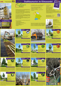 Stadtbaumarten im Klimawandel - Bayerische Landesanstalt für