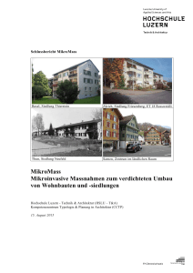 MikroMass Schlussbericht - Stiftung zur Förderung der Denkmalpflege