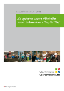 Geschäftsbericht 2013 - Stadtwerke Georgsmarienhütte