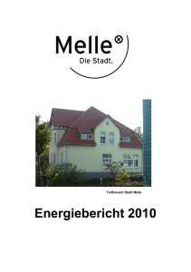 Energiebericht 2010