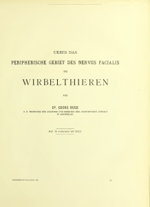 &Uuml;ber das Peripherische Gebiet der Nervus Facialis Bei