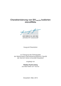 Charakterisierung von SIVmac239 kodierten microRNAs