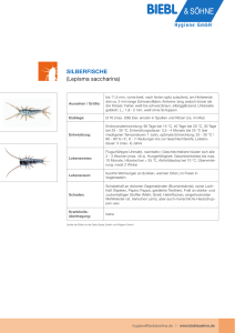 SILBERFISCHE (Lepisma saccharina)
