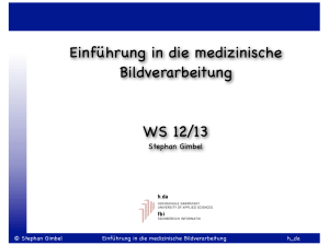 Einführung in die medizinische Bildverarbeitung WS 12 - fbi.h