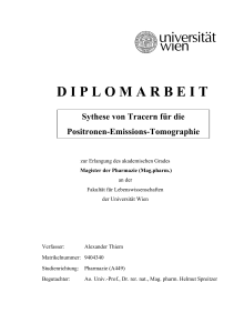 Diplomarbeit Offiziell