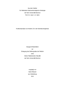 Funktionsanalyse von Keratin 23 in der Kolonkarzinogenese