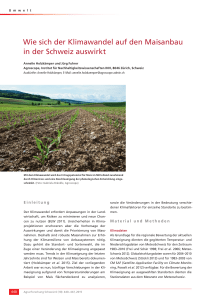 Wie sich der Klimawandel auf den Maisanbau in der Schweiz auswirkt