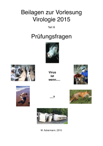 Beilagen zur Vorlesung Virologie 2015 Prüfungsfragen